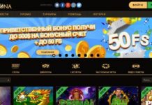 Казино Плейдом: правила онлайн игры