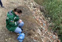 Росприроднадзор заявил об угрозе потери минеральных источников на Кавказе