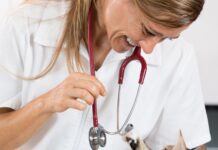 Стерилизация кошек: советы ветеринарных врачей