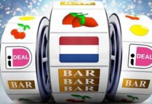 Алексей Иванов поделился советами по игре в Голландских онлайн казино