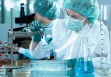 Установление отцовства по ДНК: порядок проведения