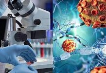 Способы современного лечения рака