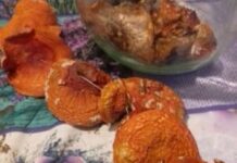 Применение сушеного мухомора