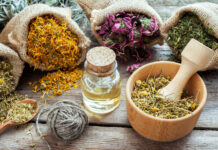 Лечебные травы как источник здоровья