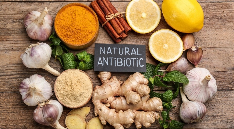 7 самых эффективных природных антибиотиков 