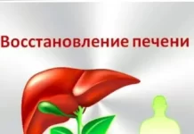 Какие травы подходят для лечения печени