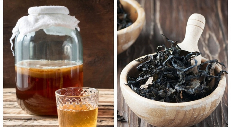 Польза в бактериях: почему тебе стоит попробовать ферментированный чай