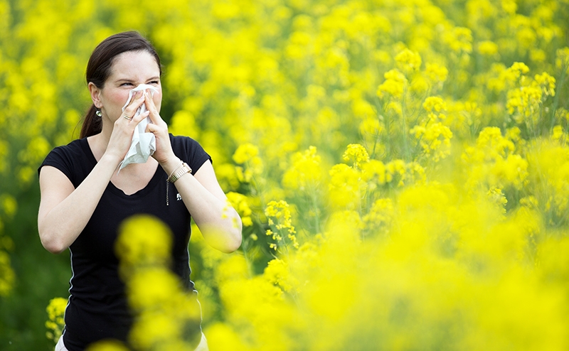 Не приговор, а диагноз. Как жить с аллергией?