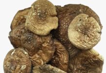 Особенности закрытых шляпок пантерного мухомора