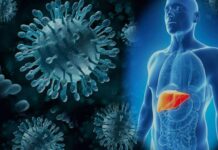 Заблуждения про заболевание гепатит С