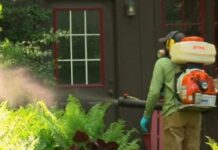 Как избавиться от насекомых навсегда