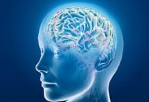 Чи потрібен цукор головному мозку? Відповіді лікарів